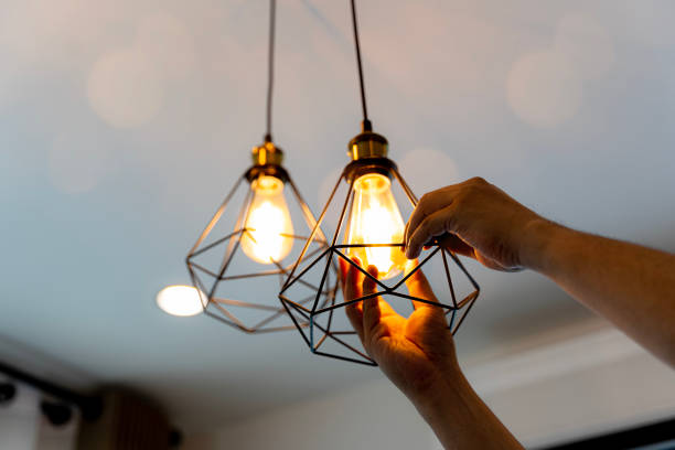 Best Electrical Installation Contractor  in Pardeeville, WI