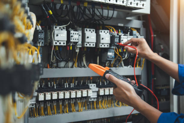 Best Electrician for Home Renovation  in Pardeeville, WI